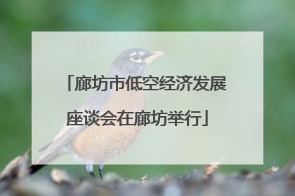 廊坊市低空经济发展座谈会在廊坊举行