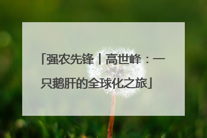 强农先锋丨高世峰：一只鹅肝的全球化之旅