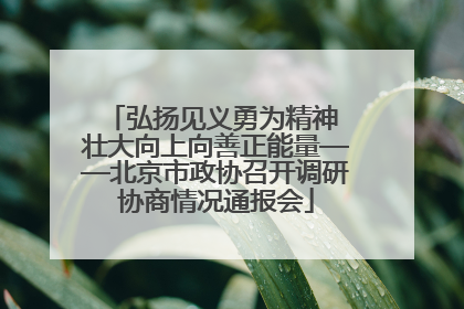 弘扬见义勇为精神 壮大向上向善正能量——北京市政协召开调研协商情况通报会