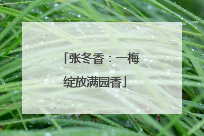 张冬香：一梅绽放满园香