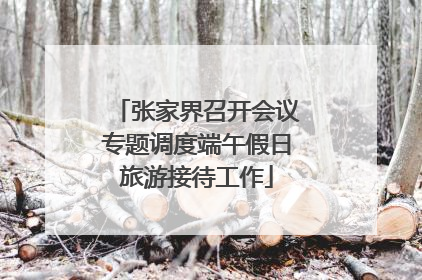 张家界召开会议专题调度端午假日旅游接待工作