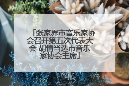 张家界市音乐家协会召开第五次代表大会 胡情当选市音乐家协会主席