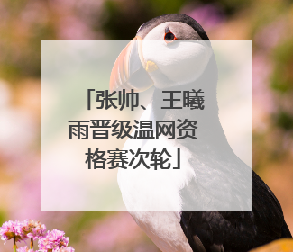 张帅、王曦雨晋级温网资格赛次轮