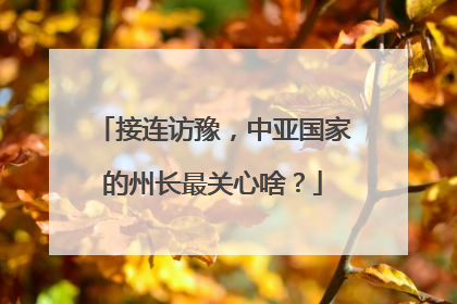 接连访豫，中亚国家的州长最关心啥？