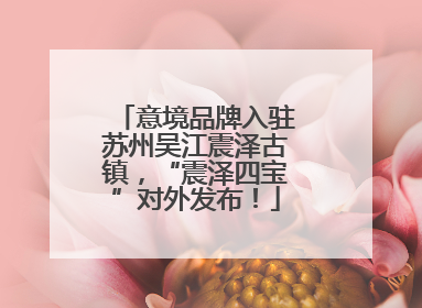 意境品牌入驻苏州吴江震泽古镇，“震泽四宝”对外发布！