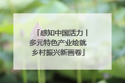 感知中国活力丨多元特色产业绘就乡村振兴新画卷