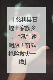 慈利县甘堰土家族乡：“汛”速响应！奋战抢险救灾一线