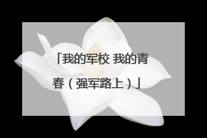 我的军校 我的青春（强军路上）