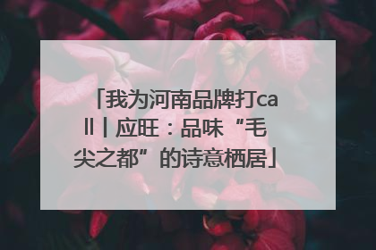 我为河南品牌打call丨应旺：品味“毛尖之都”的诗意栖居
