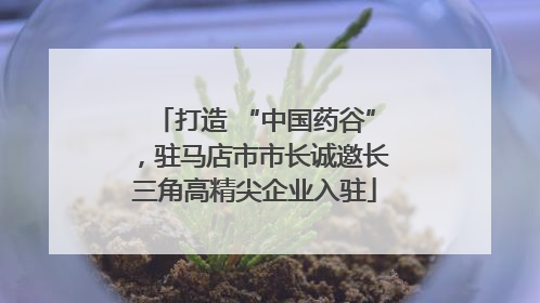 打造 “中国药谷”，驻马店市市长诚邀长三角高精尖企业入驻