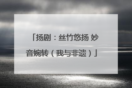 扬剧：丝竹悠扬 妙音婉转（我与非遗）