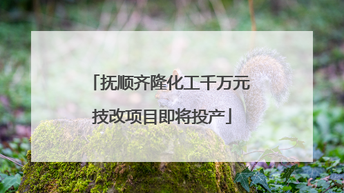抚顺齐隆化工千万元技改项目即将投产