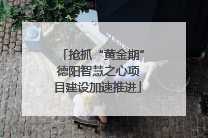 抢抓“黄金期” 德阳智慧之心项目建设加速推进