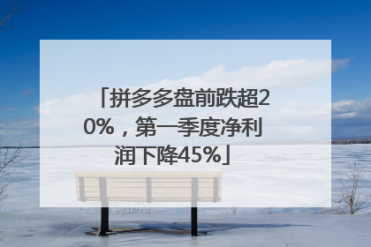 拼多多盘前跌超20%，第一季度净利润下降45%