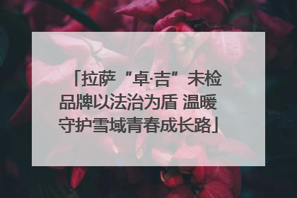 拉萨“卓·吉”未检品牌以法治为盾 温暖守护雪域青春成长路