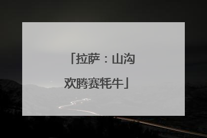 拉萨：山沟欢腾赛牦牛