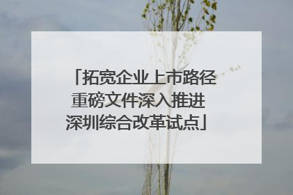 拓宽企业上市路径 重磅文件深入推进深圳综合改革试点