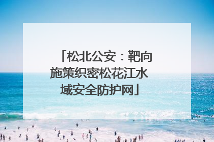 松北公安：靶向施策织密松花江水域安全防护网