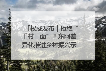 权威发布｜拒绝“千村一面”！东阿差异化推进乡村振兴示范片区建设