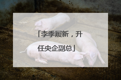 李季履新，升任央企副总