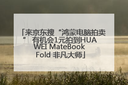 来京东搜“鸿蒙电脑拍卖” 有机会1元拍到HUAWEI MateBook Fold 非凡大师