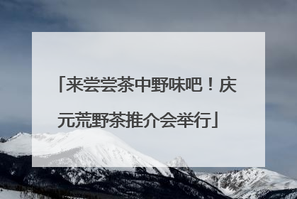来尝尝茶中野味吧！庆元荒野茶推介会举行