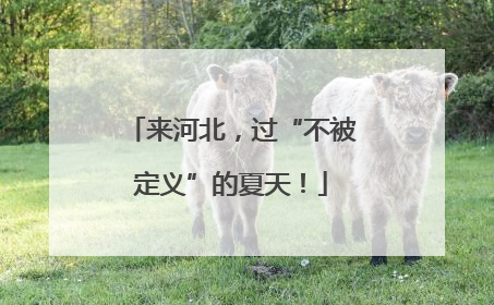 来河北，过“不被定义”的夏天！