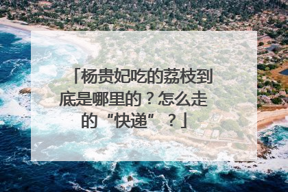 杨贵妃吃的荔枝到底是哪里的？怎么走的“快递”？