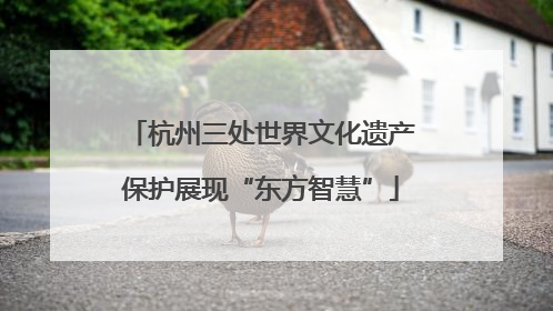 杭州三处世界文化遗产保护展现“东方智慧”