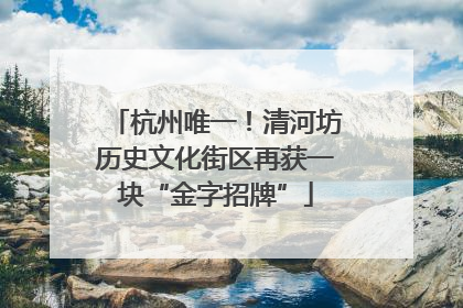 杭州唯一！清河坊历史文化街区再获一块“金字招牌”