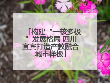 构建“一核多极”发展格局 四川宜宾打造产教融合城市样板