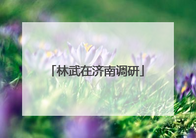 林武在济南调研
