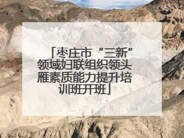 枣庄市“三新”领域妇联组织领头雁素质能力提升培训班开班