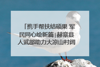 携手帮扶结硕果 军民同心绘新篇∣赫章县人武部助力大凉山村阔步乡村振兴路