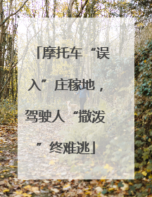 摩托车“误入”庄稼地，驾驶人“撒泼”终难逃