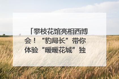 攀枝花馆亮相西博会！“豹局长”带你体验“暖暖花城”独特魅力｜西博视界