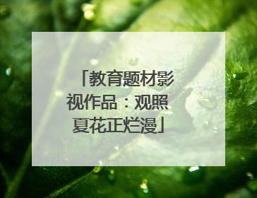 教育题材影视作品：观照夏花正烂漫