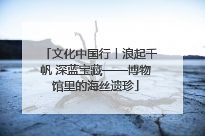 文化中国行丨浪起千帆 深蓝宝藏——博物馆里的海丝遗珍