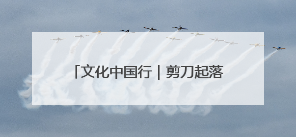 文化中国行｜剪刀起落间的文化密码——东营剪纸“剪”出非遗传承与现代生活的融合之道