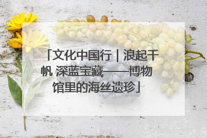 文化中国行｜浪起千帆 深蓝宝藏——博物馆里的海丝遗珍
