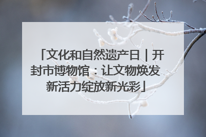 文化和自然遗产日｜开封市博物馆：让文物焕发新活力绽放新光彩