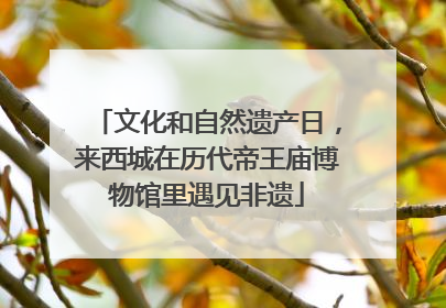 文化和自然遗产日，来西城在历代帝王庙博物馆里遇见非遗