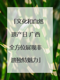 文化和自然遗产日 广西全方位展现非遗独特魅力
