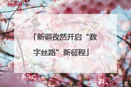 新疆孜然开启“数字丝路”新征程