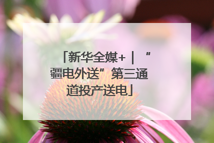 新华全媒+｜“疆电外送”第三通道投产送电