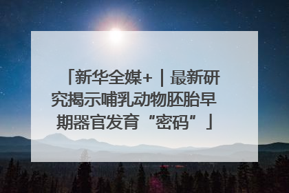 新华全媒+｜最新研究揭示哺乳动物胚胎早期器官发育“密码”