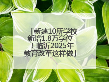 新建10所学校新增1.8万学位！临沂2025年教育改革这样做
