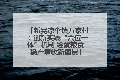 新晃凉伞镇万家村：创新实践“六位一体”机制 绘就粮食稳产增收新图景