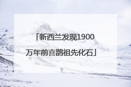 新西兰发现1900万年前喜鹊祖先化石