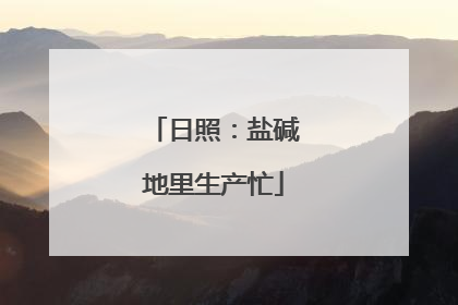 日照：盐碱地里生产忙